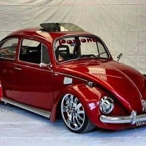 Meet your Posher, Guillermo